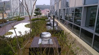 600mm Green Power Industrial Roof Top Ventilation Fan