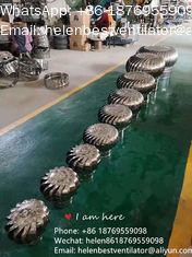 the popular size LC-BEST 300mm (12