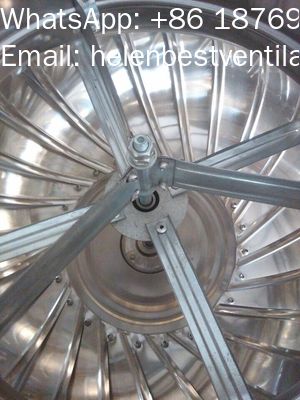 Good price 800mm roof turbo ventilator for warehouse stainless steel online